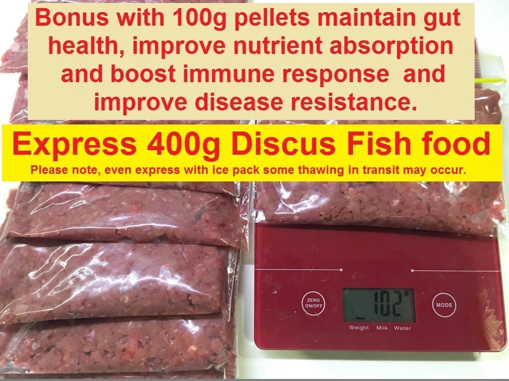 Express 400g Minced beef heart Discus Fish food
